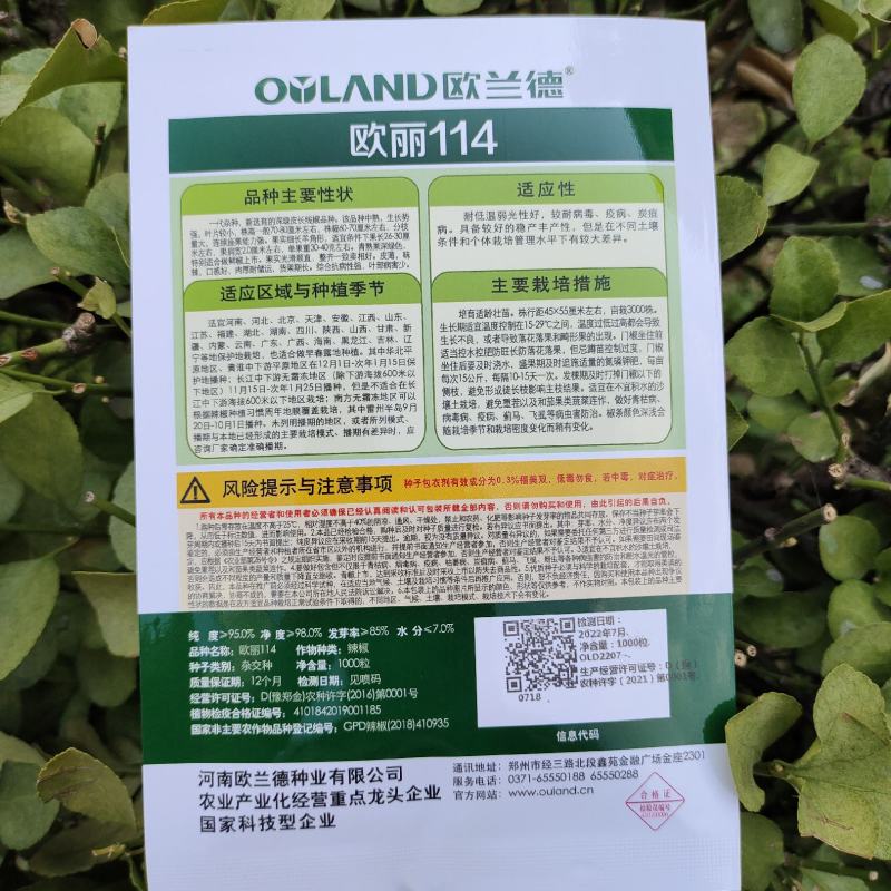 中早熟特长黑线辣椒种孑一代杂交线椒种子深绿色条椒种子香辣