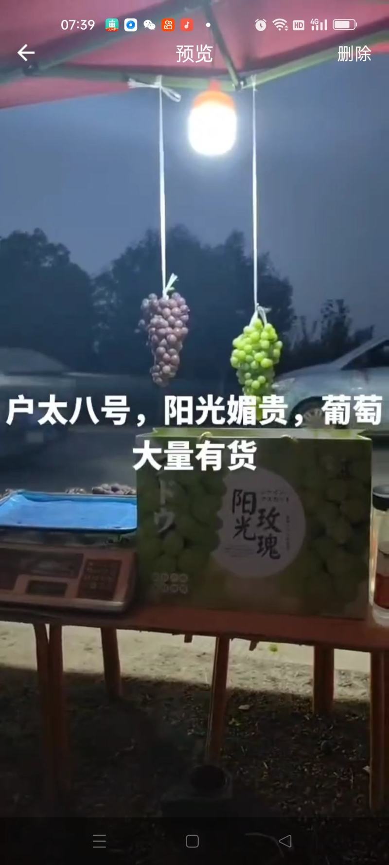 【阳光玫瑰】礼泉优质阳光玫瑰陕西种植基地品质保证电联