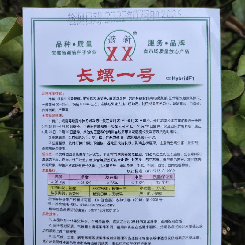 萧新长螺一号辣椒种子长果螺丝椒早熟高产抗病辣味浓春播蔬菜