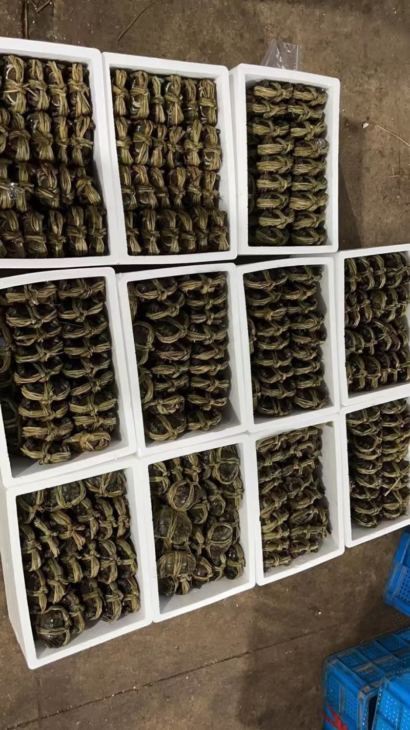 质量决定销量