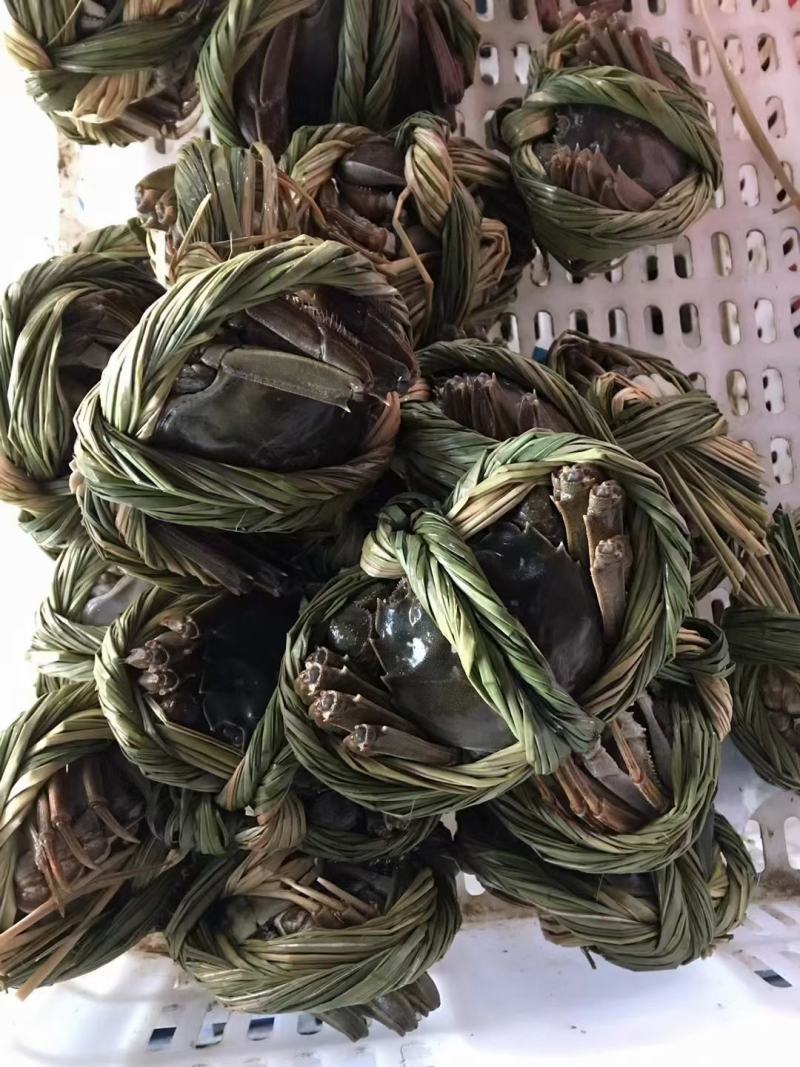 质量决定销量