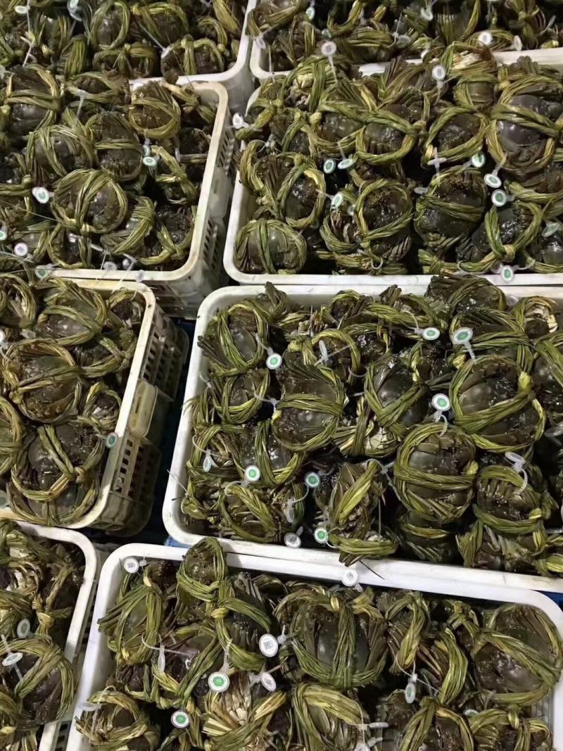 质量决定销量