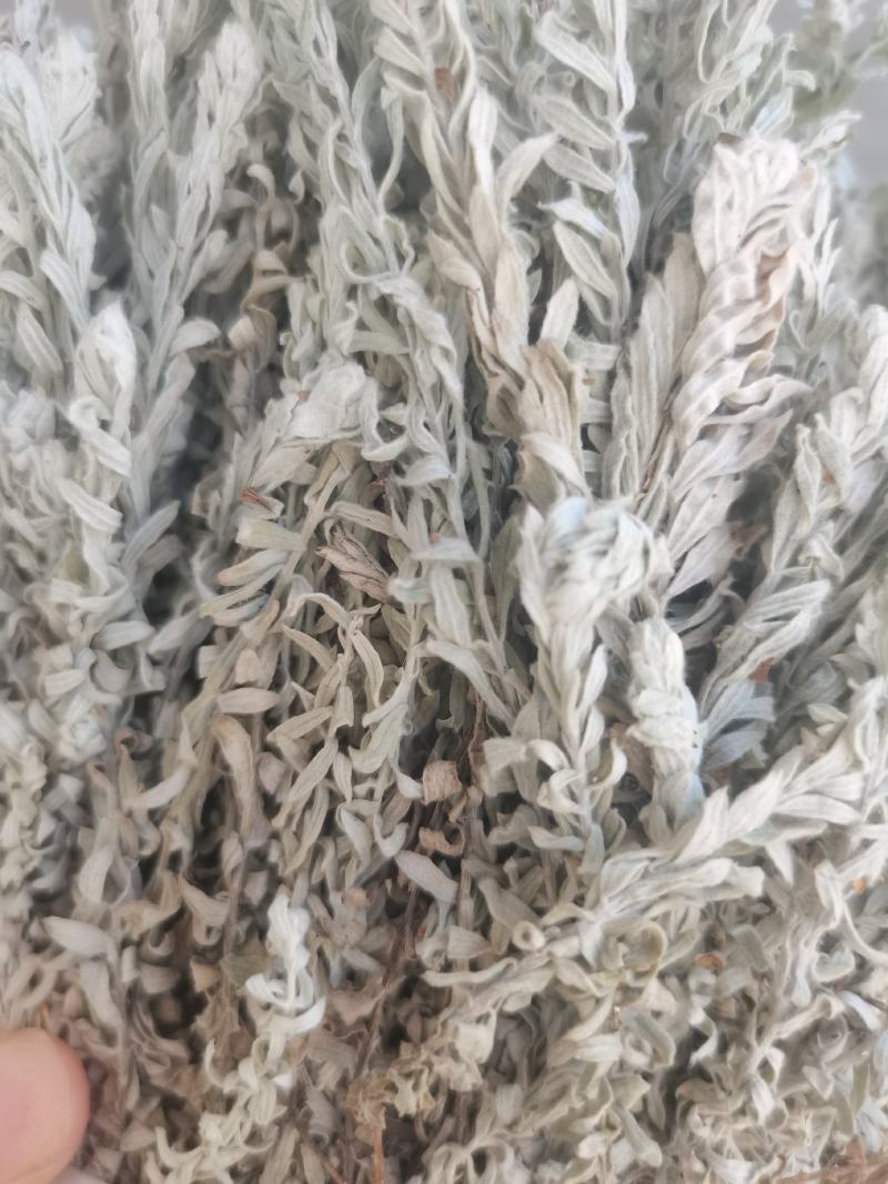鹿茸草干货六月霜白毛鹿茸草纯净无杂草晒干发货