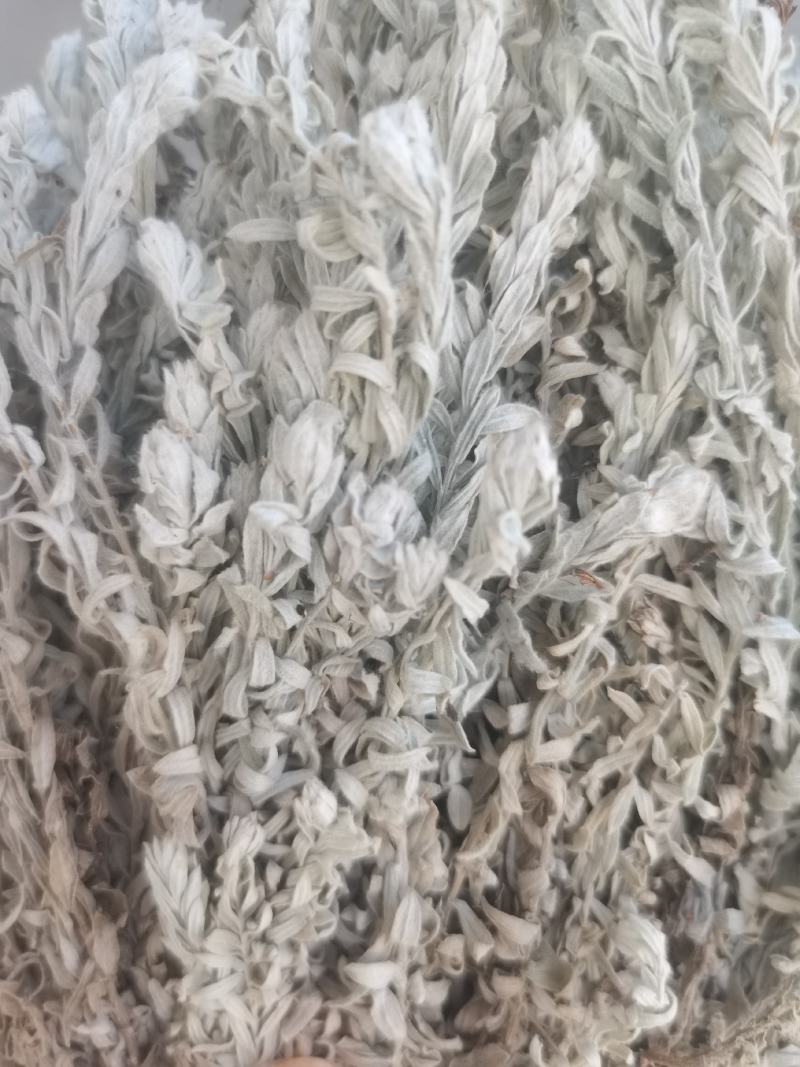 鹿茸草干货六月霜白毛鹿茸草纯净无杂草晒干发货