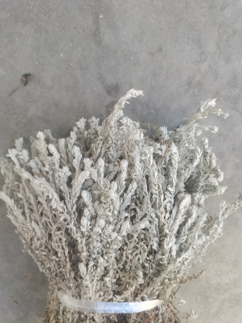鹿茸草干货六月霜白毛鹿茸草纯净无杂草晒干发货