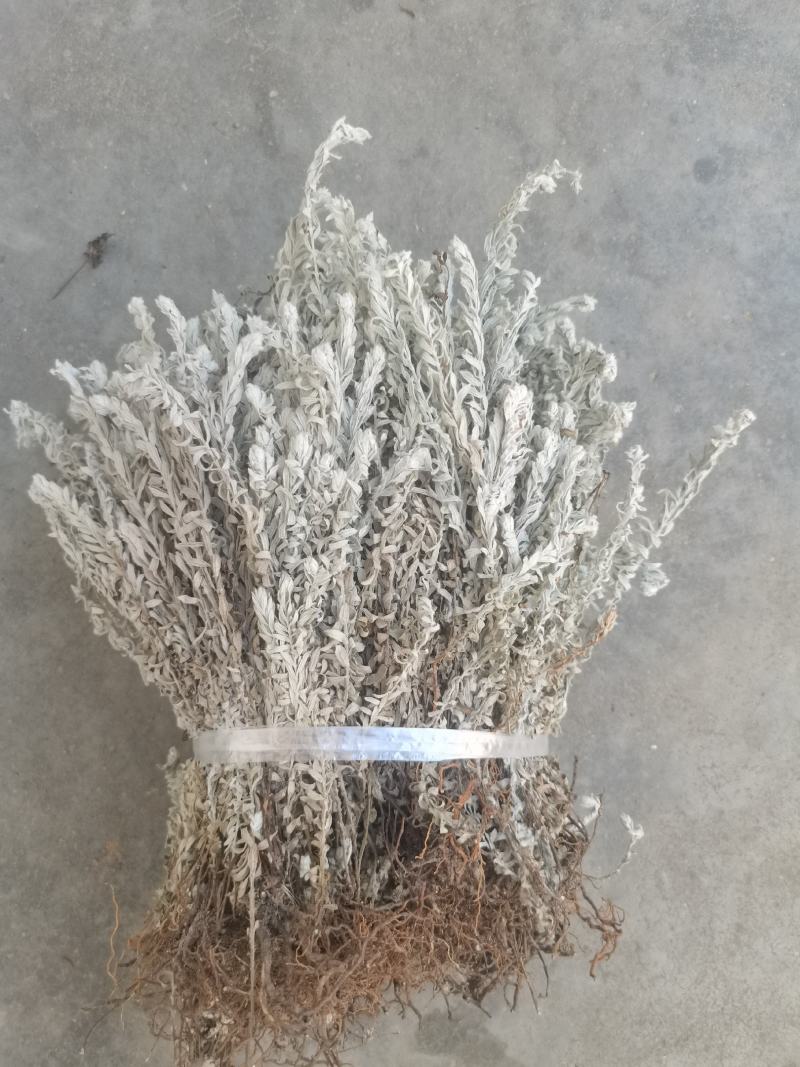鹿茸草干货六月霜白毛鹿茸草纯净无杂草晒干发货