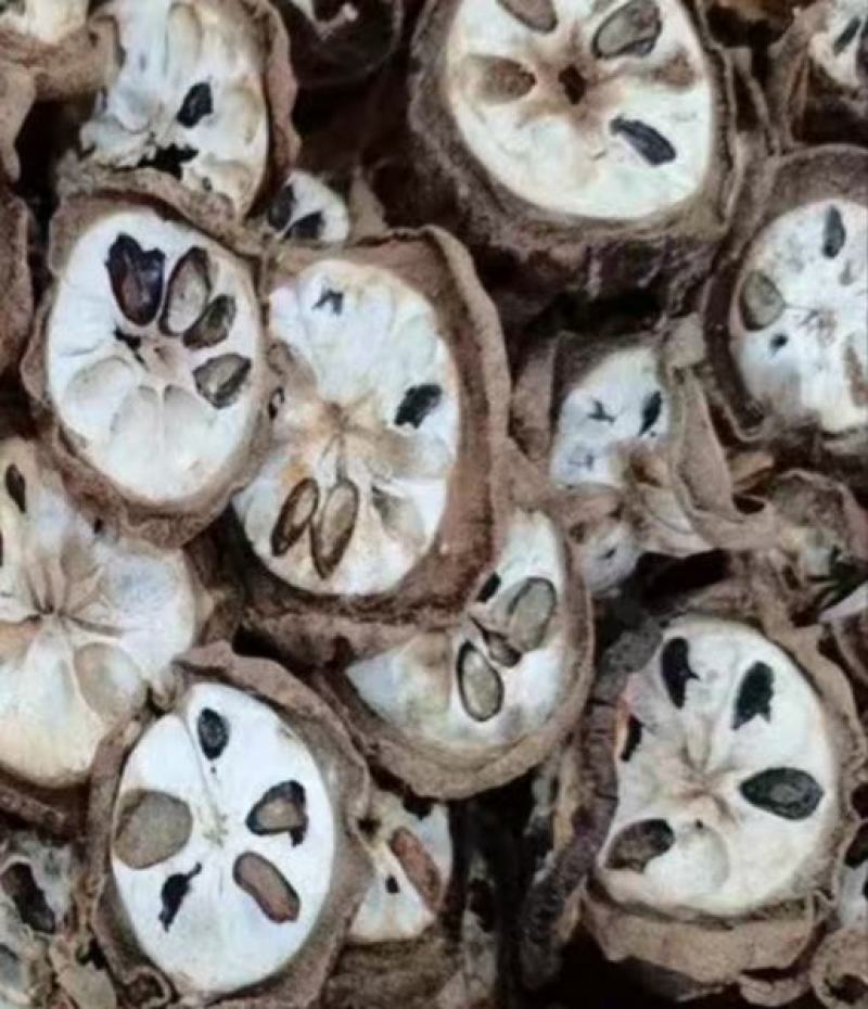 八月瓜药果