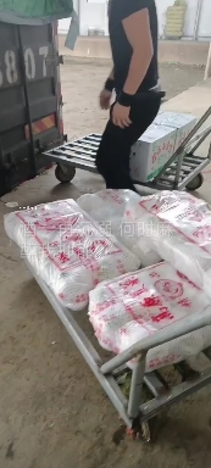 白花产地大量供应，适合全国各地市场，有加工厂要货的随联系