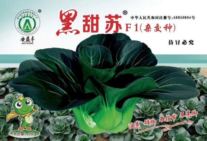 黑甜苏杂交苏州青种子