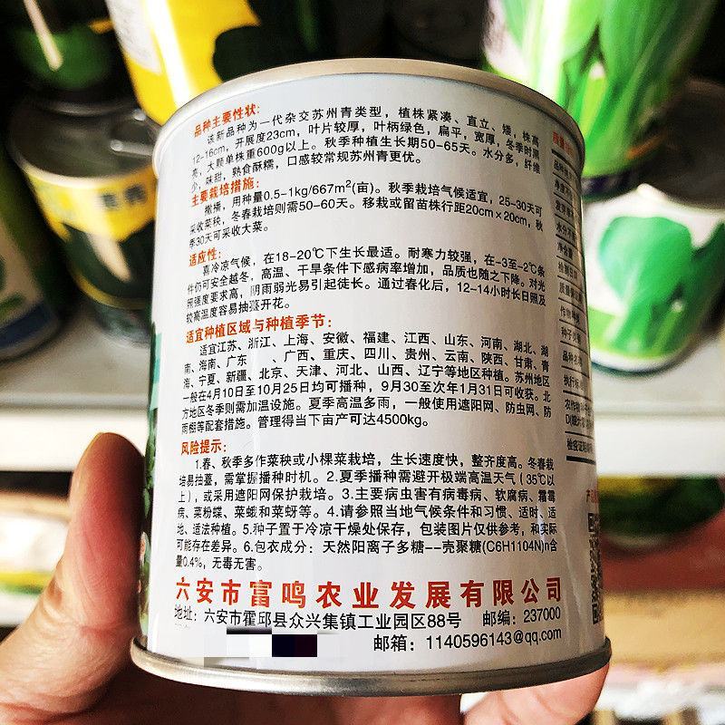黑甜苏杂交苏州青种子