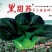 黑甜苏杂交苏州青种子