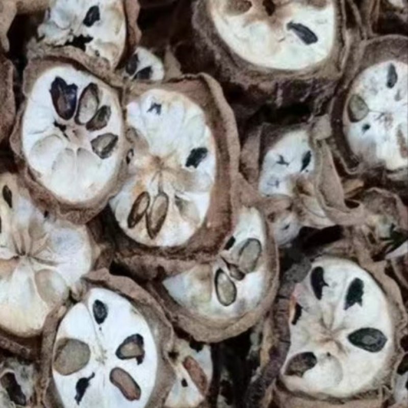 八月瓜药果