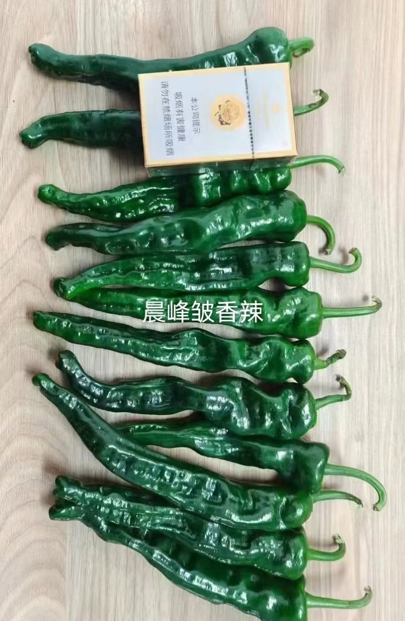 晨峰大黑优皮薄香辣味浓坐果能力强品质保证厂家发货