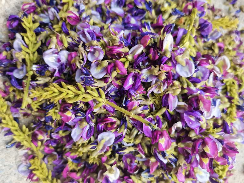 野生小葛花/葛花/小葛花/产地葛花大量上货/产地直发