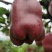 花牛75mm以上光果