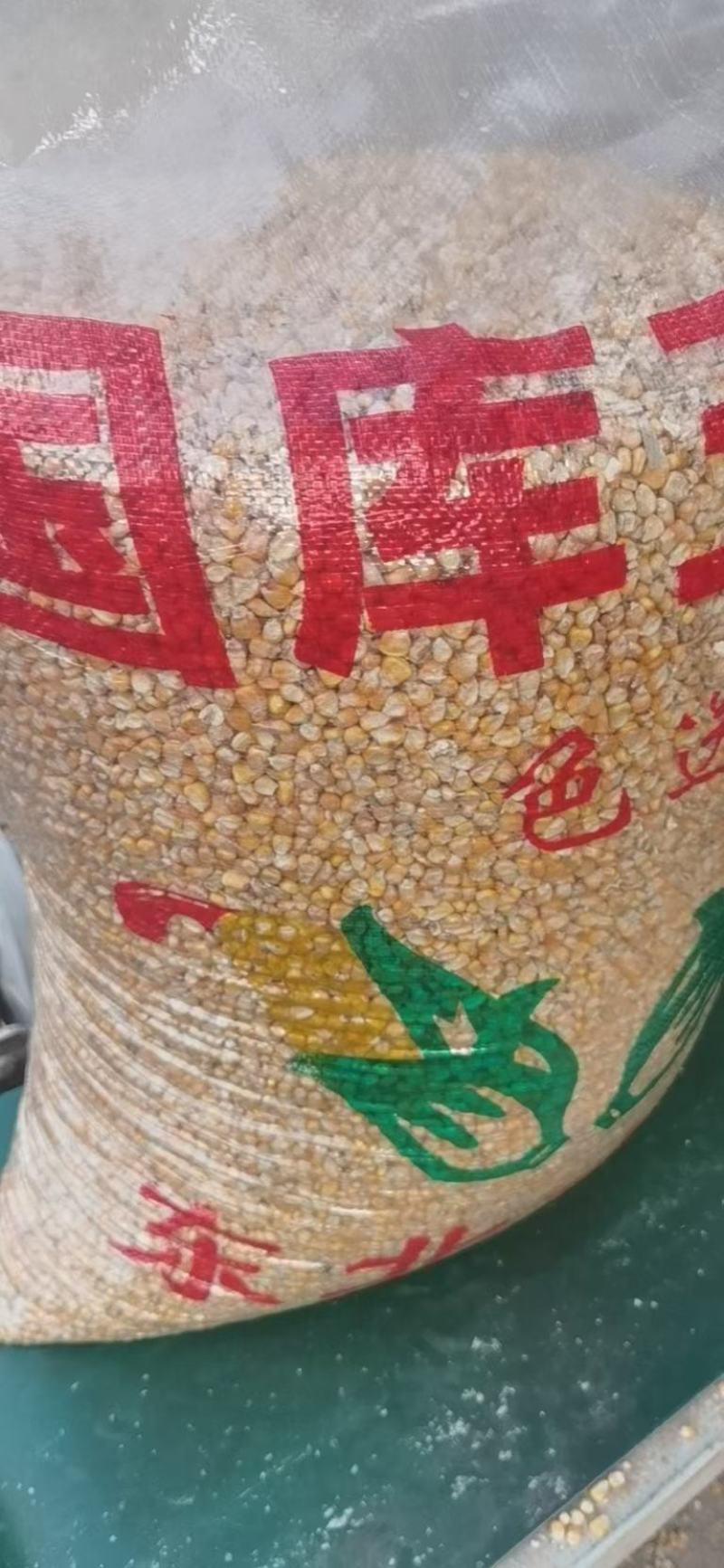 精品玉米净粮