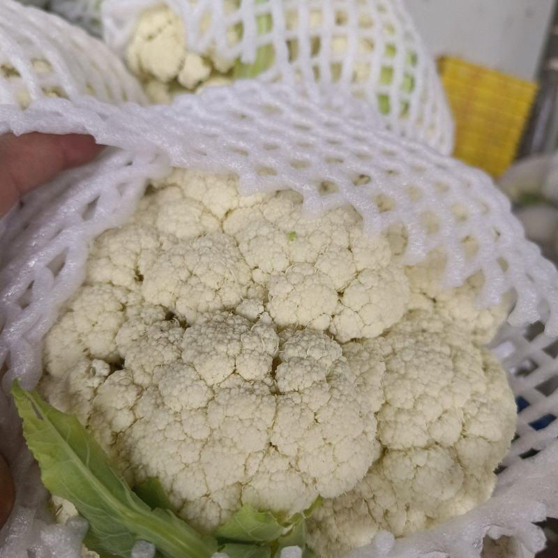 松花菜