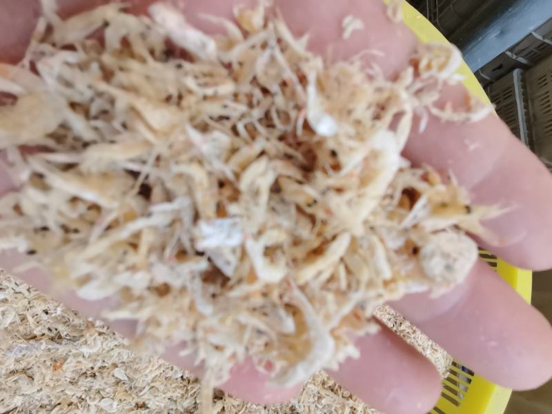 山东沾化渤海湾虾皮出新货了，欢迎大家采购