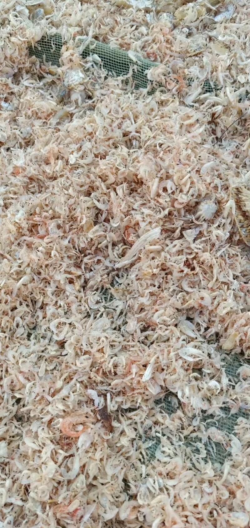 新上市鲜虾皮3元一斤，可做调料