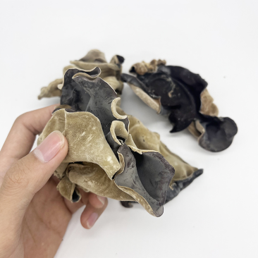 毛木耳/白背黑木耳大量批发大木耳厂家直发产地直发