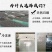 毛木耳/白背黑木耳大量批发大木耳厂家直发产地直发