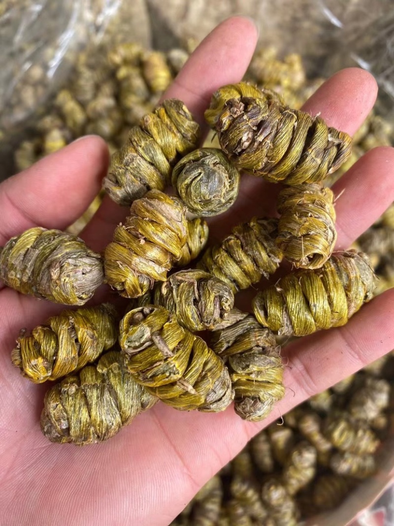 云南铁皮石斛枫斗干条全化渣胶质非常好产地大货批发