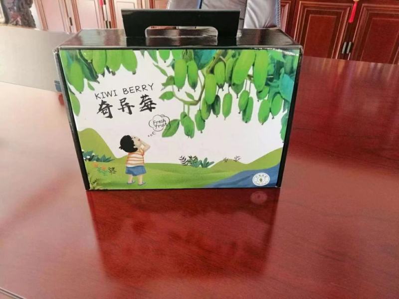 丹东软枣猕猴桃【电商】对接市场供货量大从优
