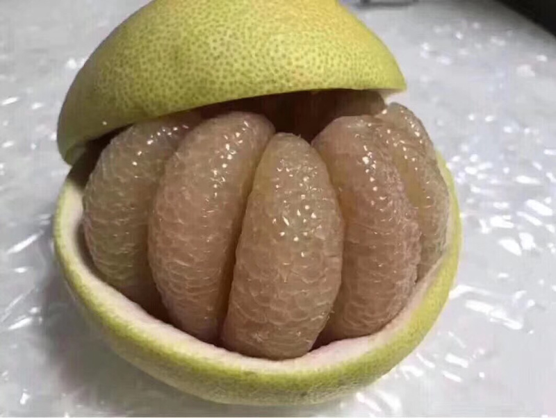 度尾红心文旦柚