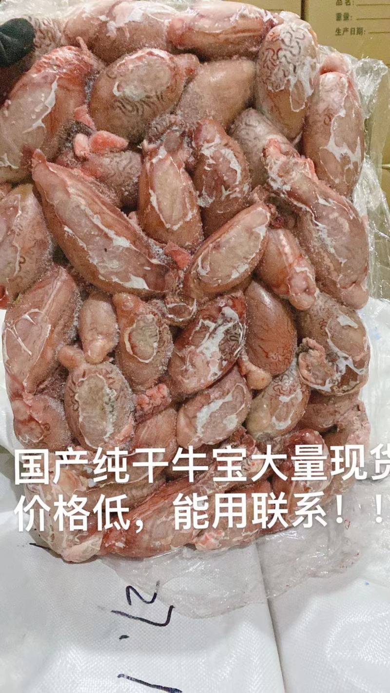 精品牛宝现货，货源充足，可炖汤，烧烤等，大补神器！！！！