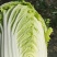 黄心白菜456