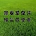 草坪种子黑麦草草籽四季常青绿化护坡狗牙根矮生免修剪草种子