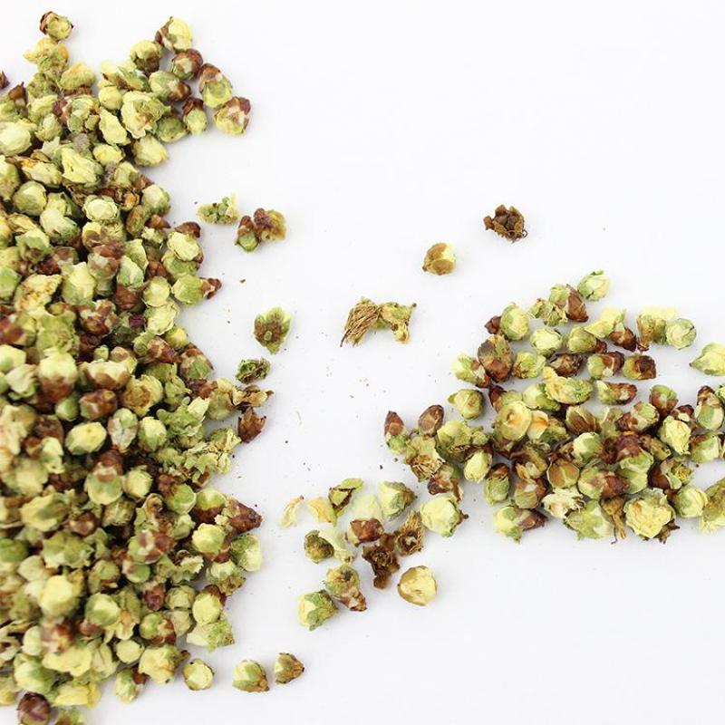 绿萼梅白梅花绿梅花花茶大量供应一件代发