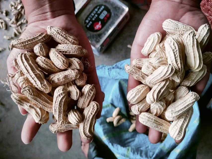 卡通风格插画,展示花生每日推荐摄入量及健康搭配方式 花生食用建议插画