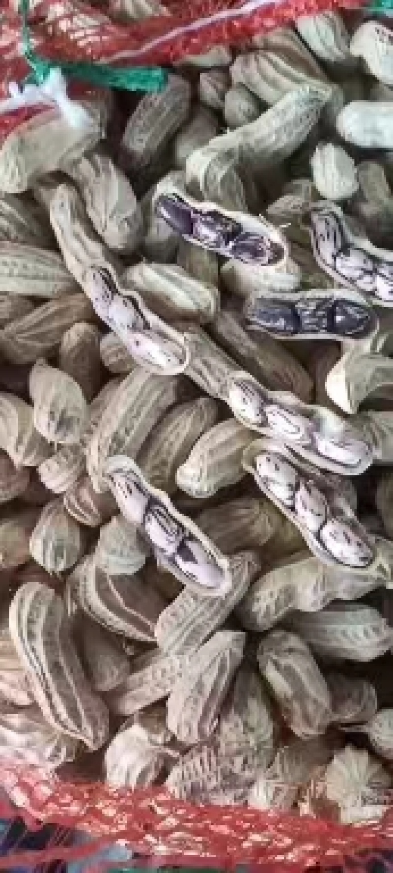 【云南花生】七彩花生四粒花生人工挑选口感香脆量大从优
