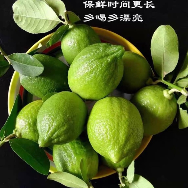 广东香水无籽青柠檬新鲜水果无籽广东香水青柠檬