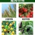 植剑50%氯溴异氰尿酸真菌细菌病毒果树蔬菜杀菌剂