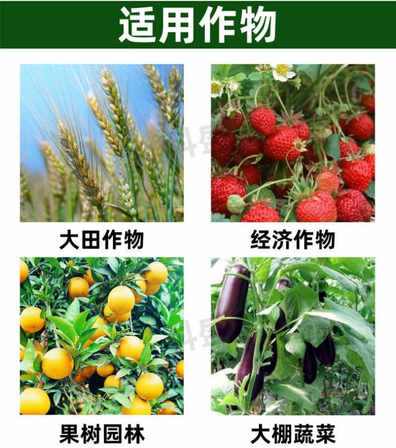 植剑50%氯溴异氰尿酸真菌细菌病毒果树蔬菜杀菌剂