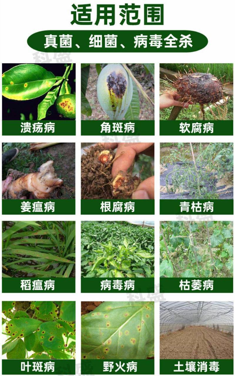 植剑50%氯溴异氰尿酸真菌细菌病毒果树蔬菜杀菌剂