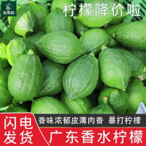 广东香水无籽青柠檬新鲜水果无籽广东香水青柠檬