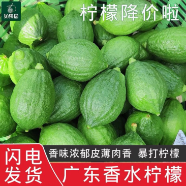 广东香水无籽青柠檬新鲜水果无籽广东香水青柠檬