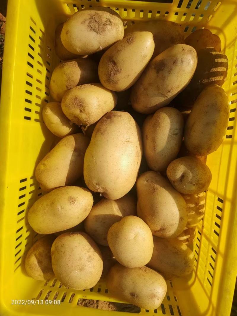 沃土
