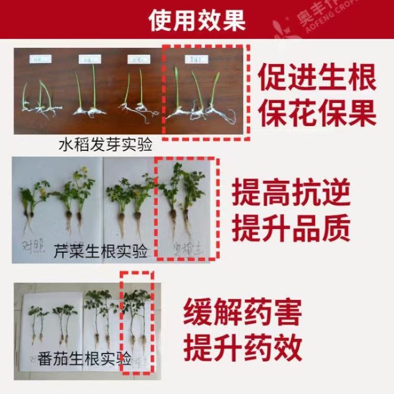 14羟基芸苔素甾醇植物调节剂保花保果提质抗逆解除药害