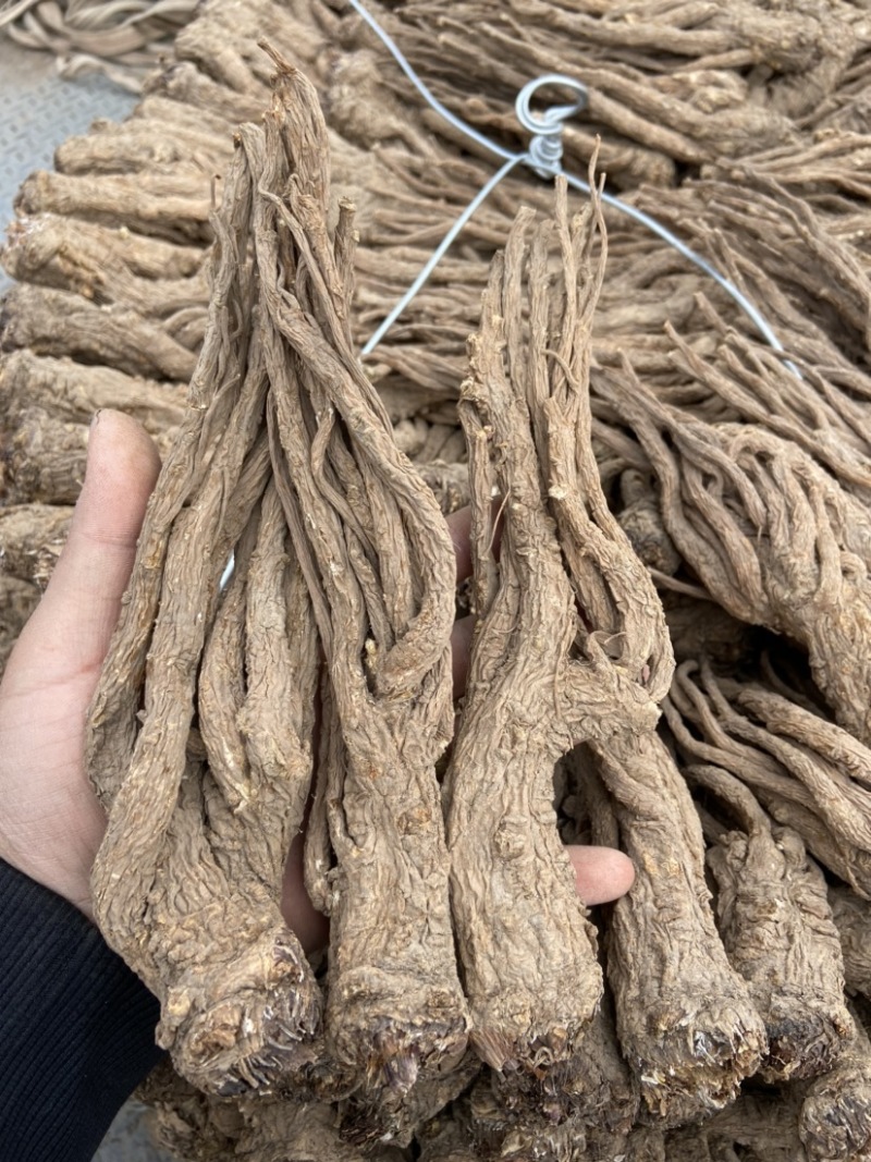 岷县当归成品当归个无硫原色当归去尾当归个