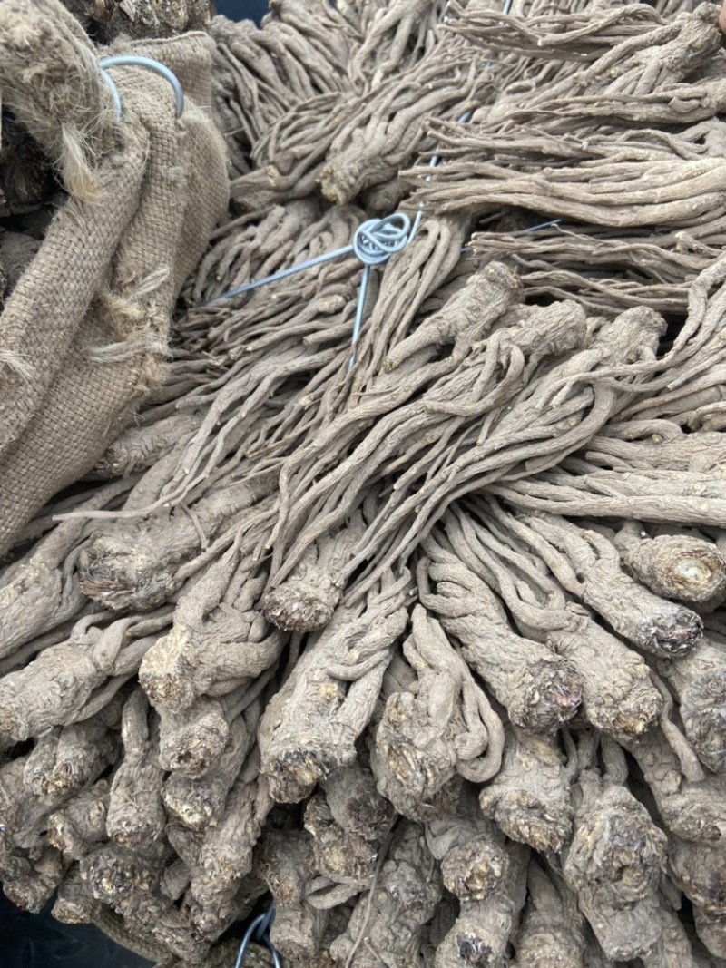 岷县当归成品当归个无硫原色当归去尾当归个