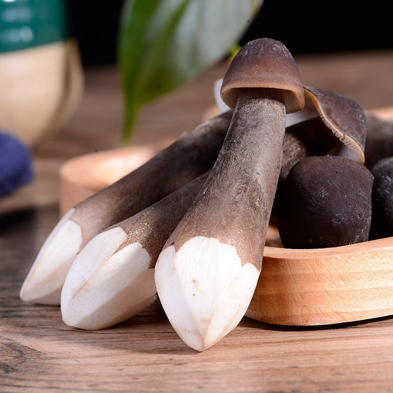 云南当季食用菌黑皮鸡枞菌煲汤用云南特产新鲜黑皮鸡枞菌