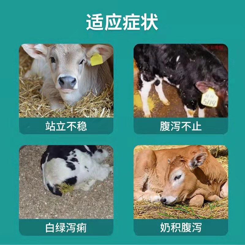 犊牛立康：针对新生犊牛的奶积消化不良，黄白痢，腹泻拉稀