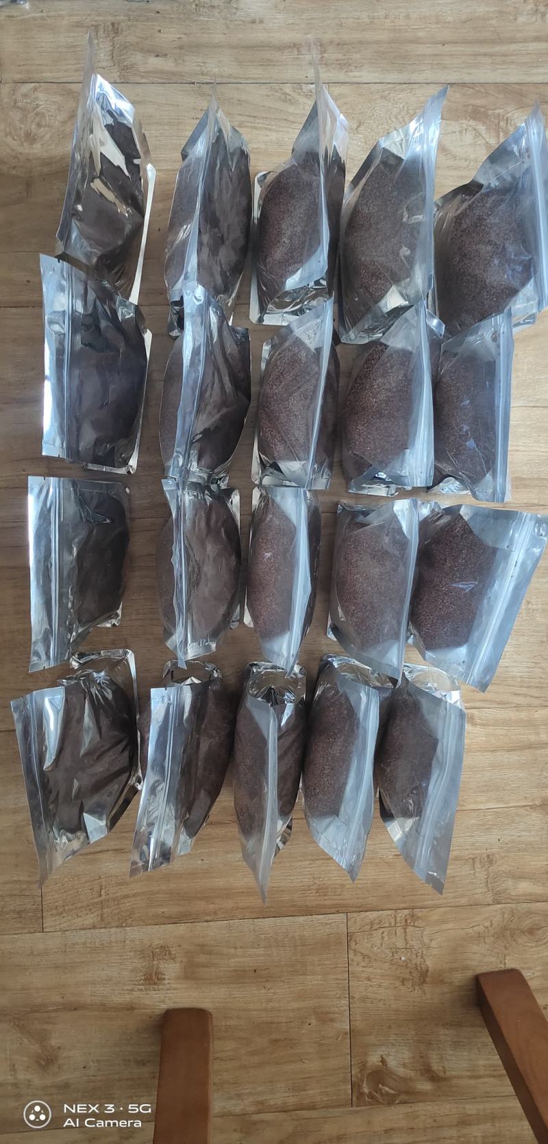 【促销价】食叶草种子蛋白草基地优选良种可提供育苗服务