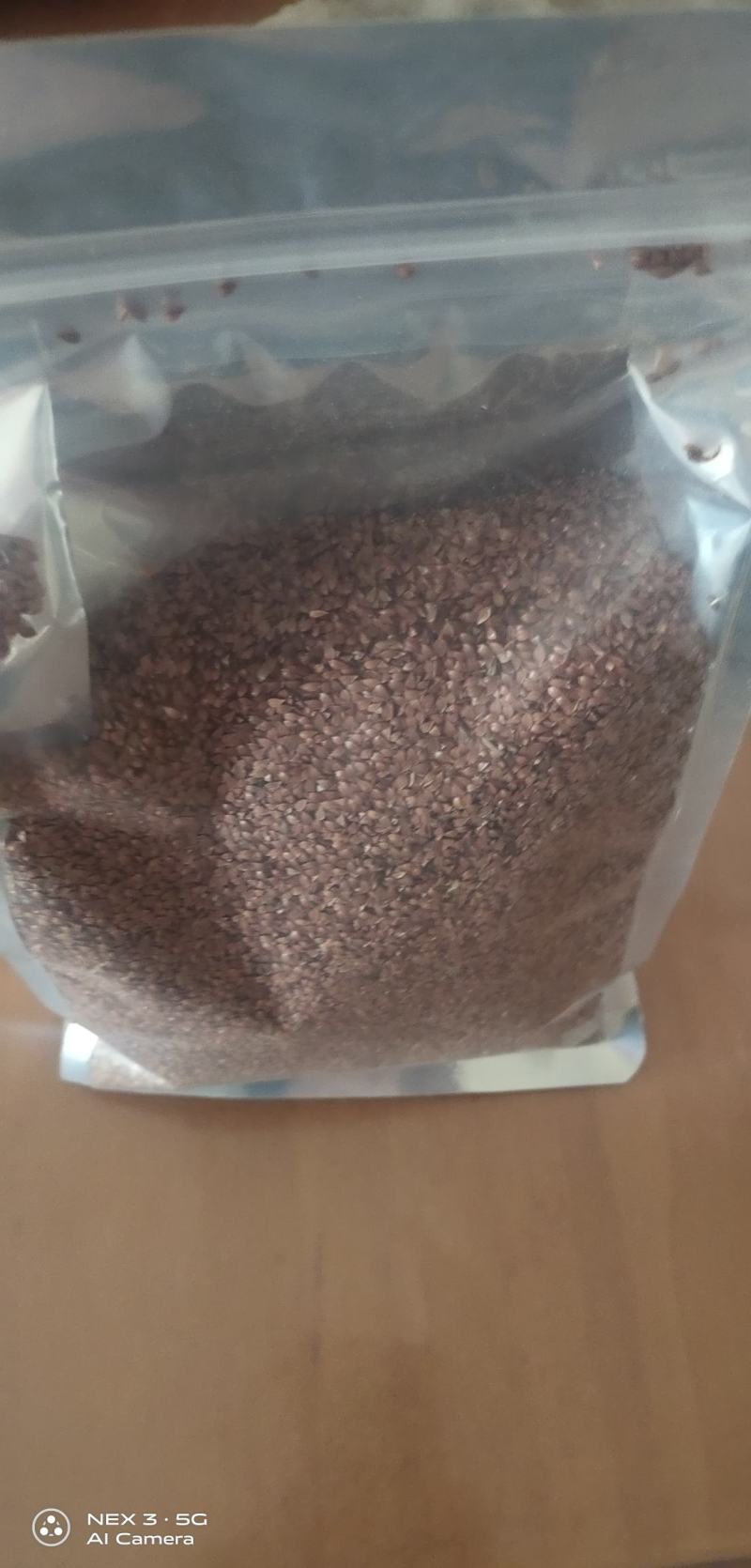 【促销价】食叶草种子蛋白草基地优选良种可提供育苗服务