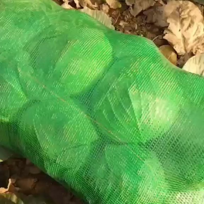 精品扁包菜包菜甘蓝新货大量上市价格美丽基地直发