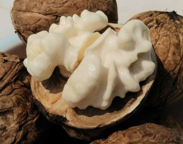 核桃仁成品图